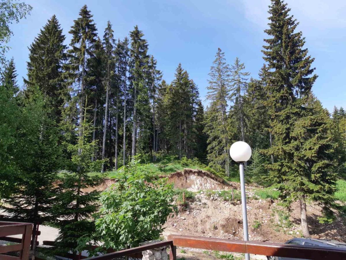 Apartments Sipcic Žabljak Kültér fotó