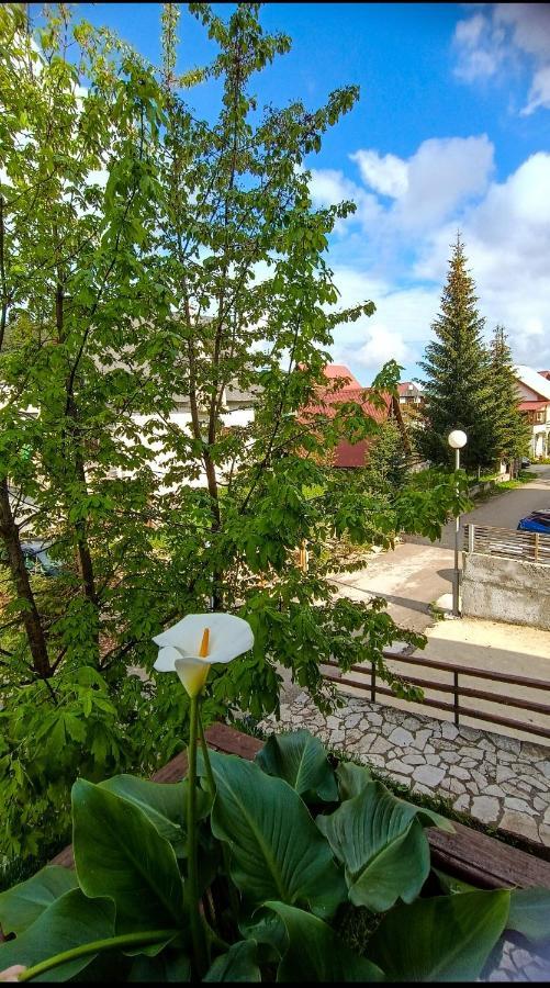 Apartments Sipcic Žabljak Kültér fotó