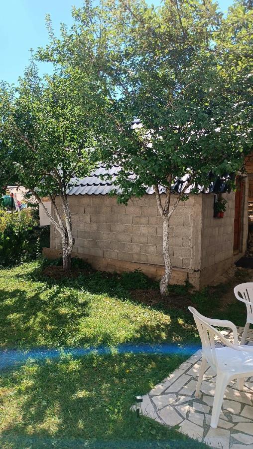 Apartments Sipcic Žabljak Kültér fotó